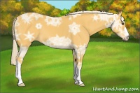 Horse Color:Palomino Ice 