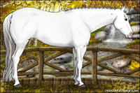 Horse Color:Brown Fewspot 