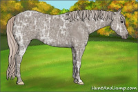 Horse Color:Silver Brown Ice Dun