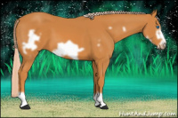 Horse Color:Chocolate Palomino Frame 