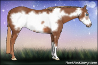 Horse Color:Liver Chestnut Frame 
