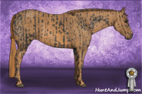 Horse Color:Black  Brindle
