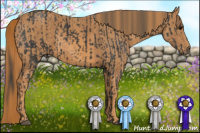 Horse Color:Black  Brindle