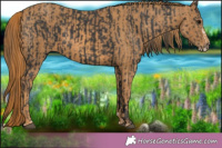 Horse Color:Black Splash Brindle