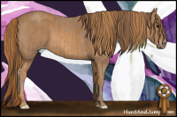Horse Color:Classic Champagne  Brindle