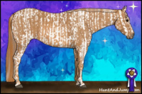 Horse Color:Black Appaloosa  Brindle