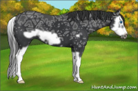 Horse Color:Brown Ice Splash Frame 