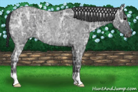Horse Color:Brown Ice Roan Rabicano