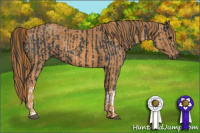 Horse Color:Black  Brindle
