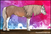 Horse Color:Liver Red Roan Splash