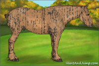 Horse Color:Black  Brindle