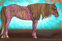 Horse Color:Black Splash Brindle