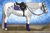 Horse Color:Black Tobiano Blanket