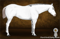 Horse Color:Bay Leopard 