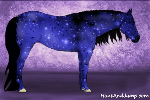 Horse Color: ERROR: UNKNOWN ANOMALY