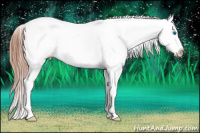 Horse Color:Brown Splash Appaloosa Rabicano 