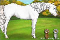 Horse Color:White Spotted Silver Amber Champagne Dun Splash 