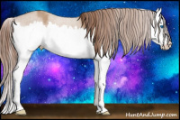 Horse Color:Liver Red Dun Splash 