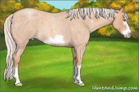 Horse Color:Silver Amber Champagne Roan Splash Frame 