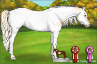 Horse Color:Palomino Dun Splash Tobiano Frame Rabicano 