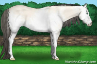 Horse Color:White Spotted Amber Cream Champagne Dun 