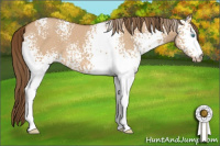 Horse Color:Gray White Spotted Perlino Dun 
