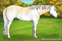 Horse Color:White Spotted Silver Buckskin Dun 