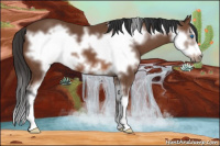 Horse Color:Bay Sabino Frame