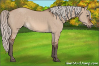 Horse Color:Silver Bay Dun 