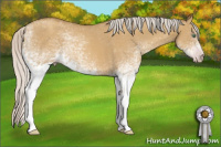 Horse Color:Gray White Spotted Silver Classic Cream Champagne Dun