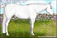 Horse Color:White Spotted Silver Buckskin Splash 