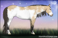 Horse Color:White Spotted Buckskin Dun Frame 