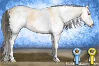 Horse Color:White Spotted Buckskin Dun 