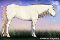 Horse Color:Classic Cream Champagne Pearl Dun Sabino Splash 