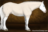Horse Color:Cremello Splash 