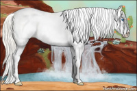 Horse Color:White Spotted Palomino Splash