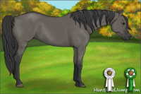 Horse Color:Grullo Rabicano 