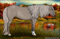 Horse Color:Silver Grullo Rabicano 