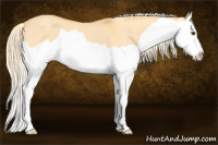 Horse Color:Palomino Dun Splash