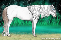 Horse Color:Red Dun Ice Splash Tobiano Appaloosa