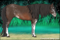 Horse Color:Brown Sabino 
