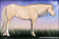 Horse Color:Palomino Pearl 