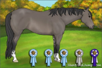 Horse Color:Black Sabino 