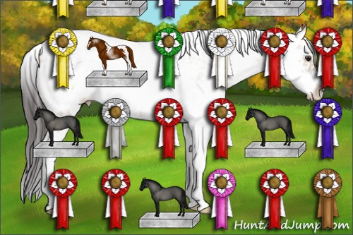 Horse Color: Bay Dun Sabino 