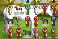 Horse Color:Bay Dun Sabino 