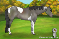 Horse Color:Black Tobiano
