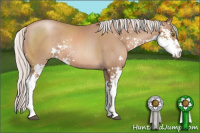 Horse Color:Silver Black Pearl Sabino
