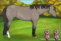 Horse Color:Grullo Sabino 