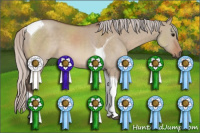 Horse Color:Silver Grullo Tobiano 