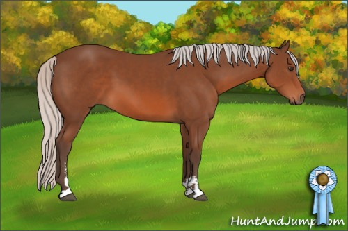 Horse Color: Silver Bay Sabino 